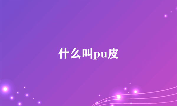 什么叫pu皮