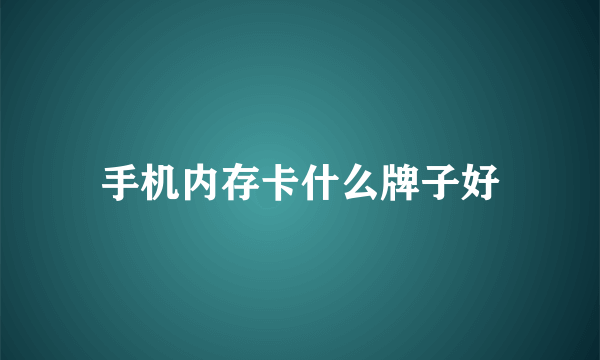 手机内存卡什么牌子好