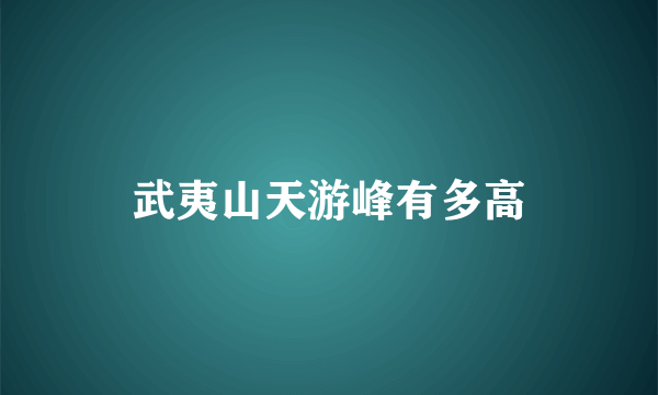 武夷山天游峰有多高