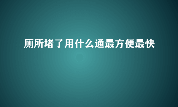 厕所堵了用什么通最方便最快