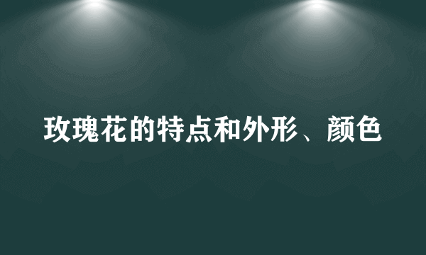 玫瑰花的特点和外形、颜色