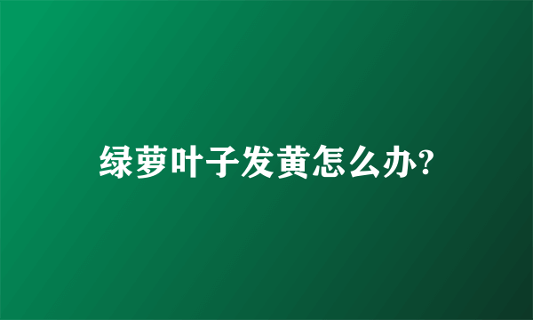 绿萝叶子发黄怎么办?