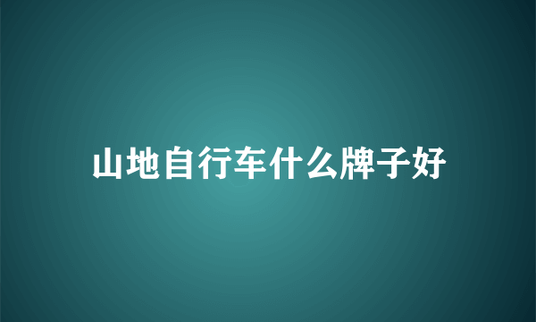 山地自行车什么牌子好