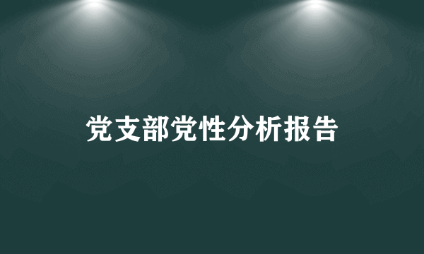 党支部党性分析报告