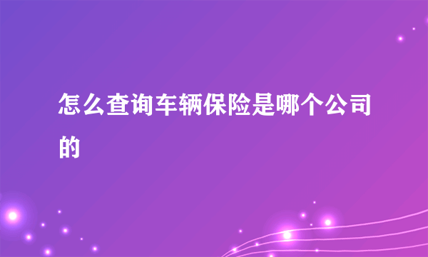 怎么查询车辆保险是哪个公司的