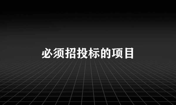 必须招投标的项目