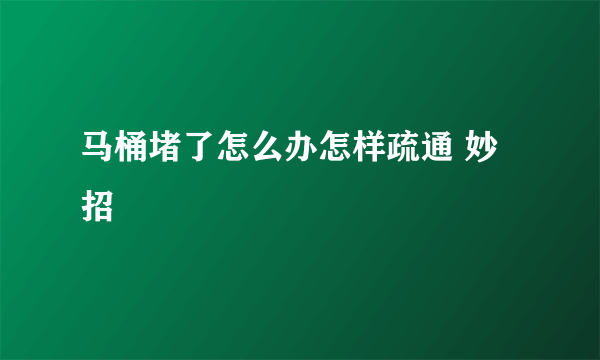 马桶堵了怎么办怎样疏通 妙招