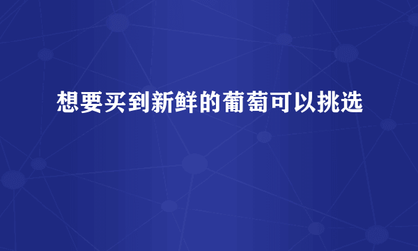 想要买到新鲜的葡萄可以挑选