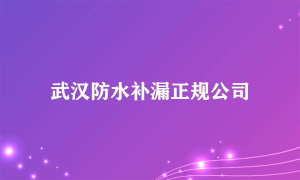 武汉防水补漏正规公司