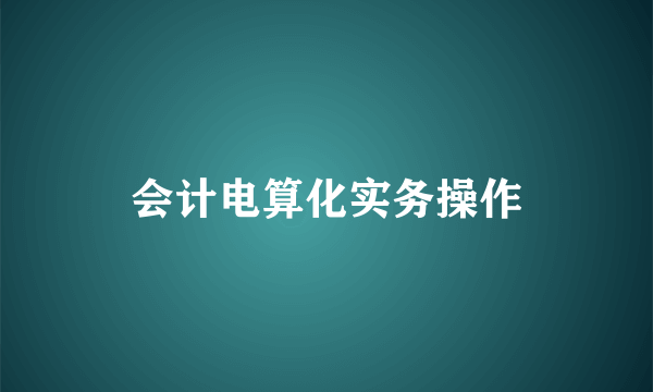 会计电算化实务操作