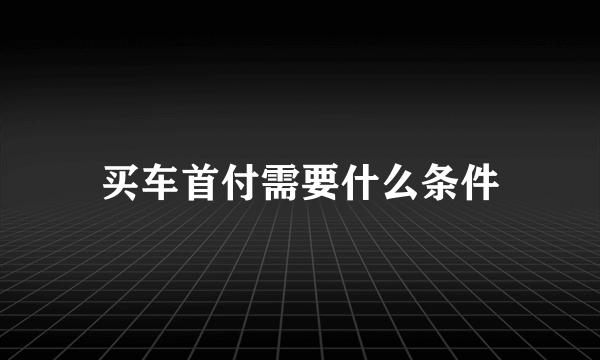 买车首付需要什么条件