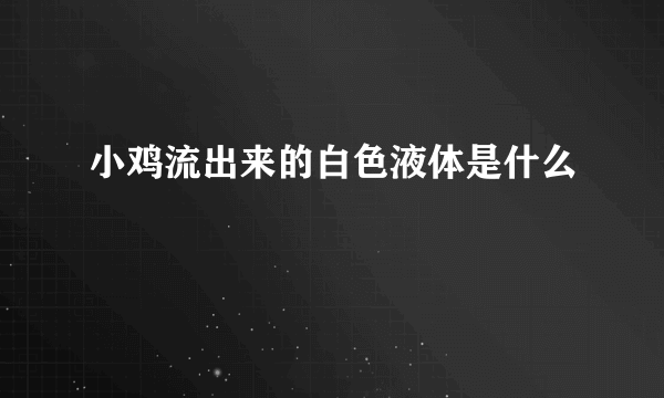 小鸡流出来的白色液体是什么