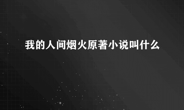 我的人间烟火原著小说叫什么