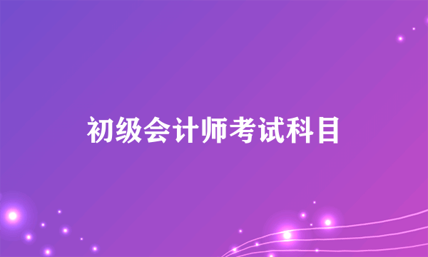 初级会计师考试科目