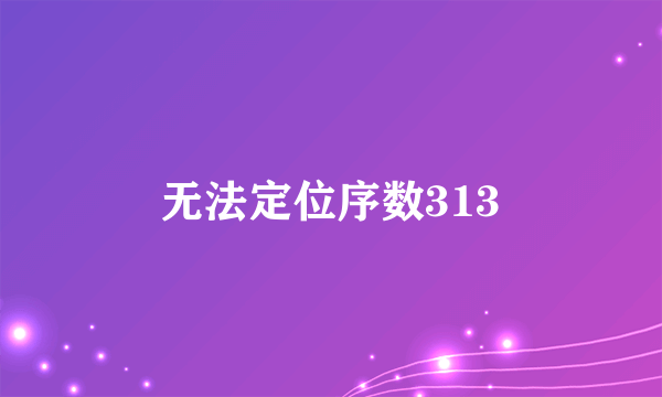 无法定位序数313