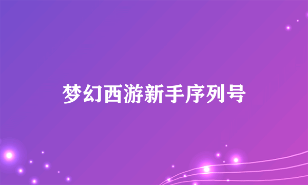 梦幻西游新手序列号