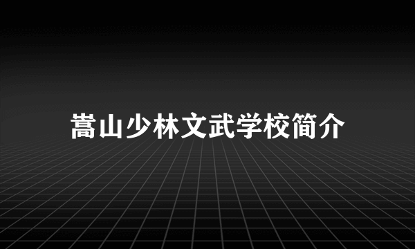 嵩山少林文武学校简介