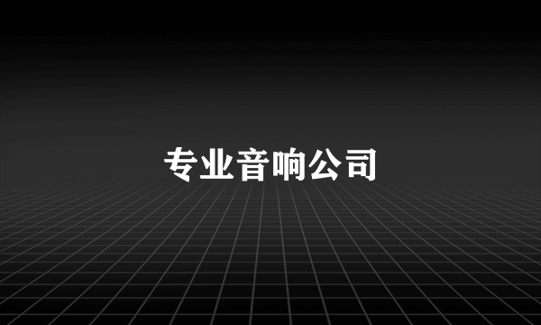 专业音响公司