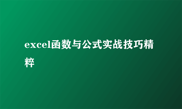 excel函数与公式实战技巧精粹