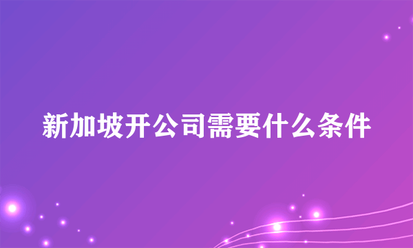 新加坡开公司需要什么条件