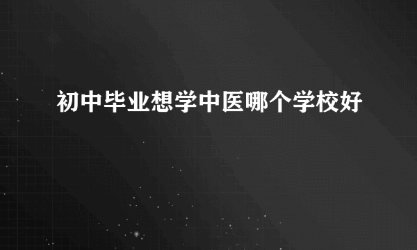 初中毕业想学中医哪个学校好