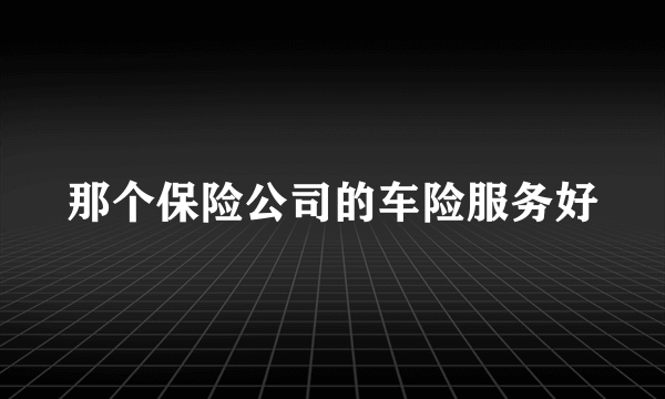 那个保险公司的车险服务好