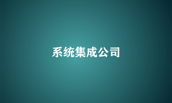 系统集成公司