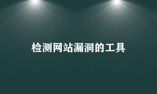 检测网站漏洞的工具