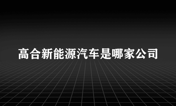 高合新能源汽车是哪家公司