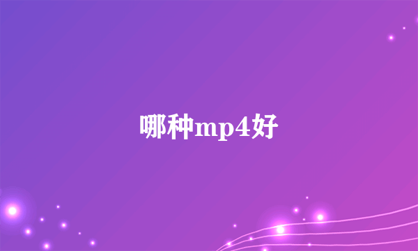 哪种mp4好