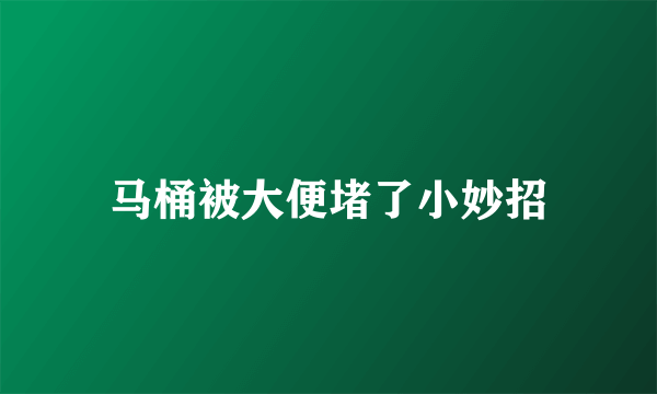 马桶被大便堵了小妙招