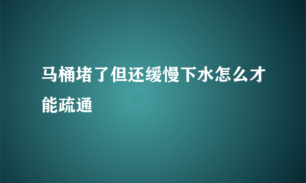 马桶堵了但还缓慢下水怎么才能疏通