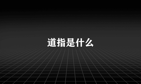 道指是什么