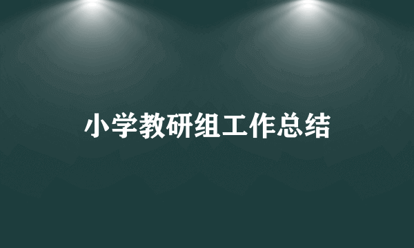 小学教研组工作总结