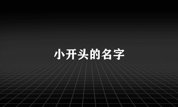 小开头的名字