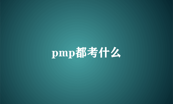 pmp都考什么