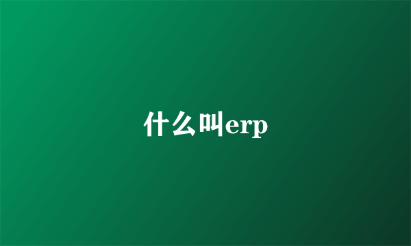 什么叫erp