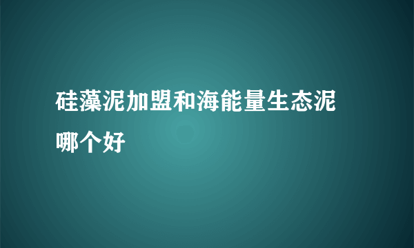 硅藻泥加盟和海能量生态泥 哪个好