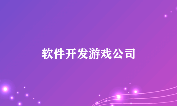 软件开发游戏公司