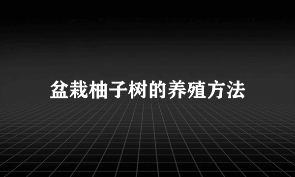 盆栽柚子树的养殖方法