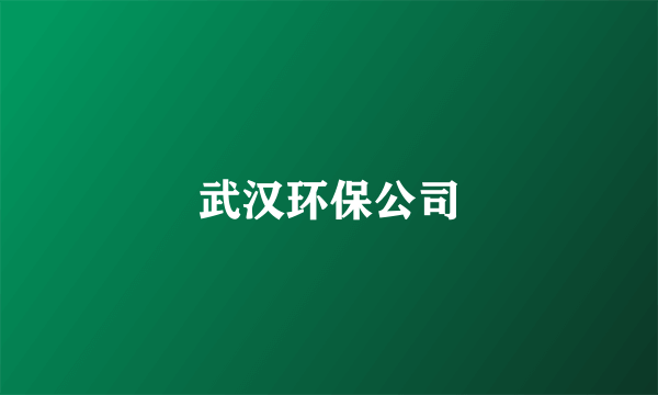 武汉环保公司