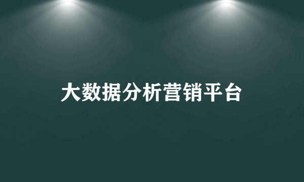 大数据分析营销平台