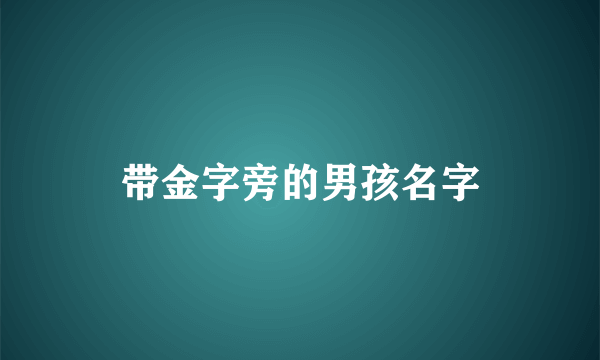 带金字旁的男孩名字