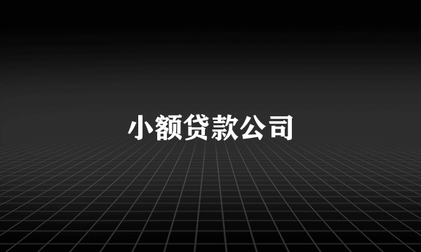 小额贷款公司