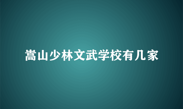 嵩山少林文武学校有几家