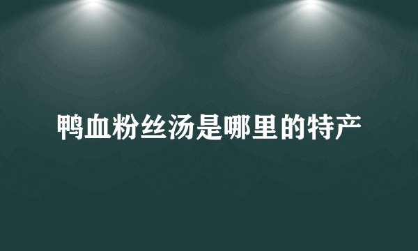 鸭血粉丝汤是哪里的特产