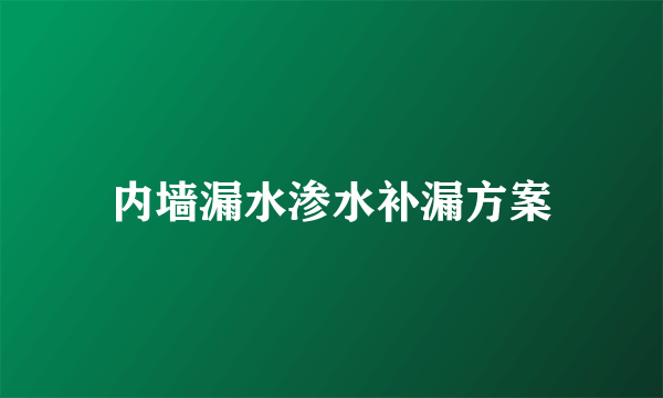 内墙漏水渗水补漏方案