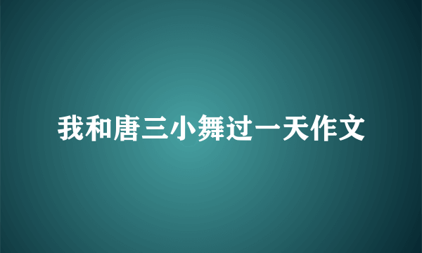 我和唐三小舞过一天作文