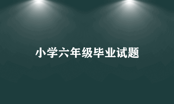 小学六年级毕业试题