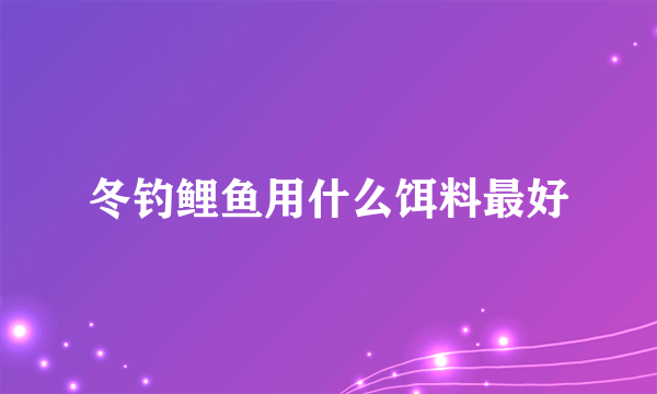 冬钓鲤鱼用什么饵料最好